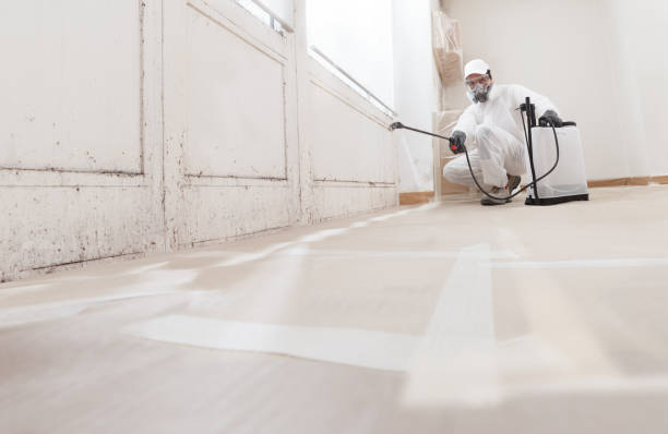 Post-remediation clearance in Weston